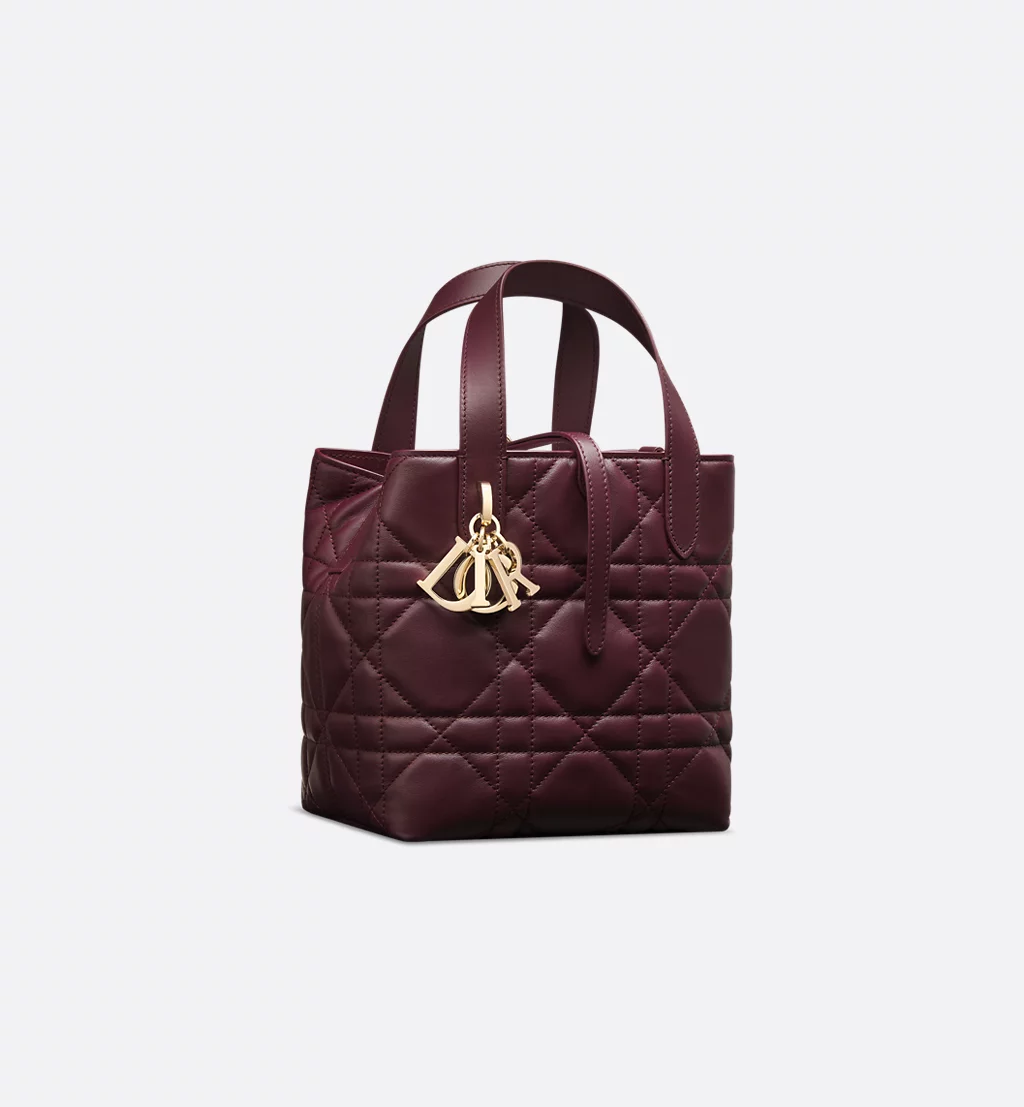Small Dior Toujours Vertical Tote Bag
