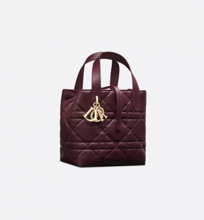 Small Dior Toujours Vertical Tote Bag