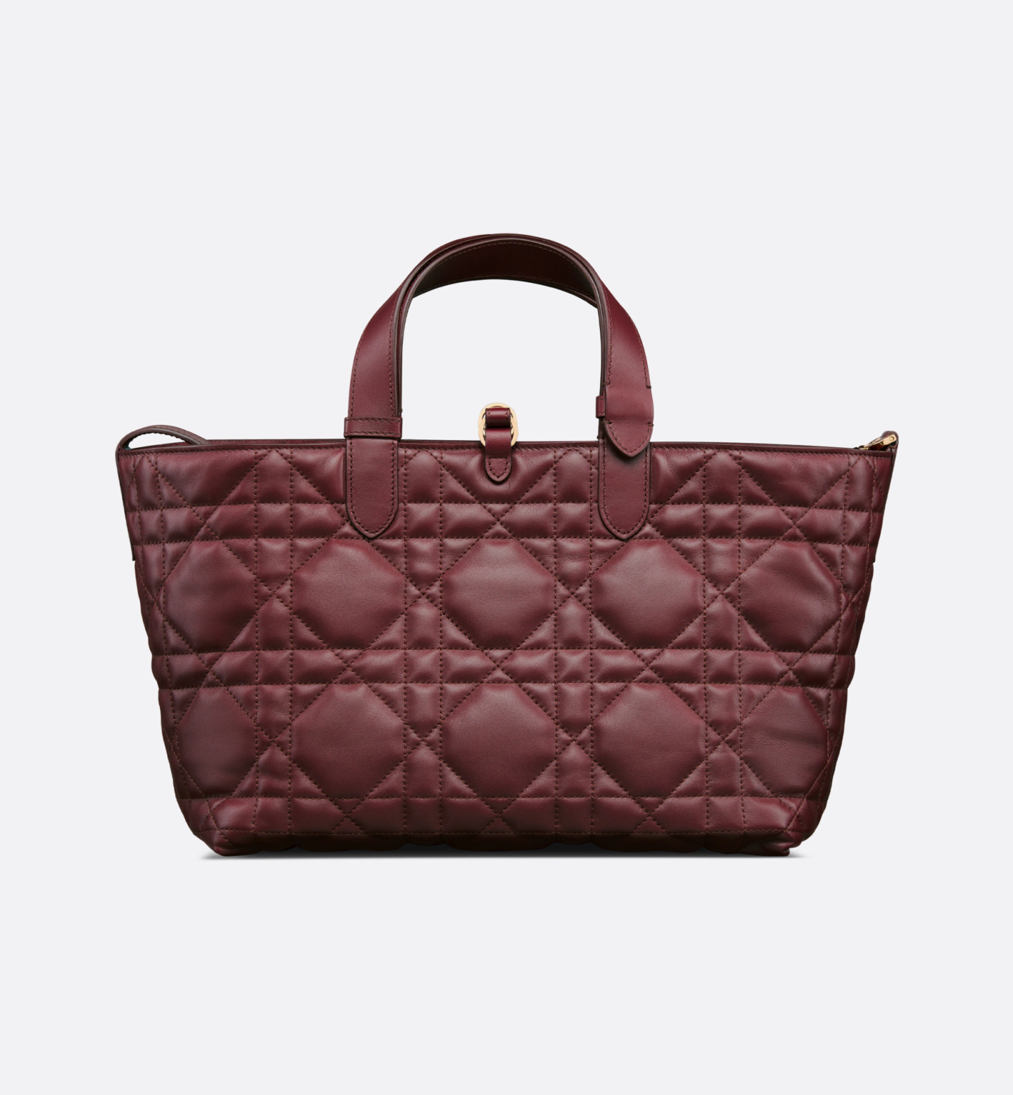 Medium Dior Toujours Bag