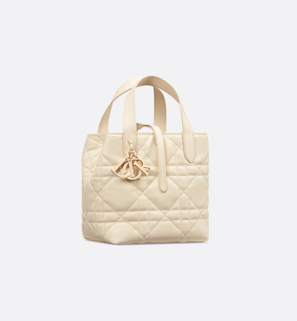 Small Dior Toujours Vertical Tote Bag