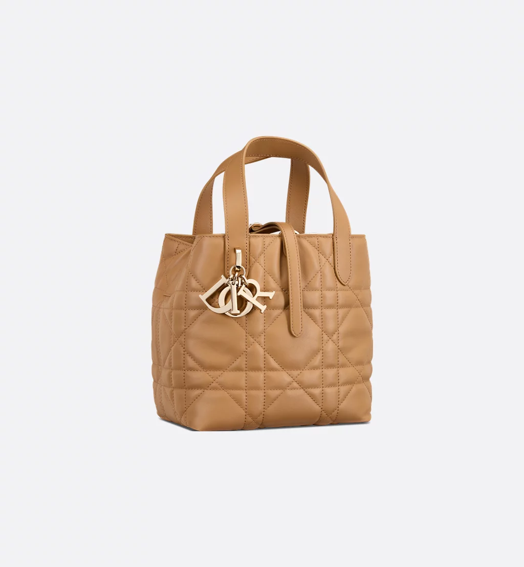 Small Dior Toujours Vertical Tote Bag