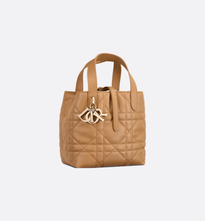 Small Dior Toujours Vertical Tote Bag
