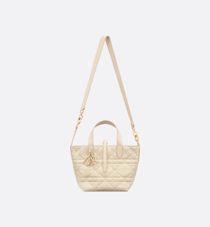 Small Dior Toujours Vertical Tote Bag