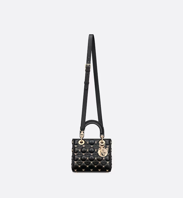 SMALL LADY DIOR BAG
