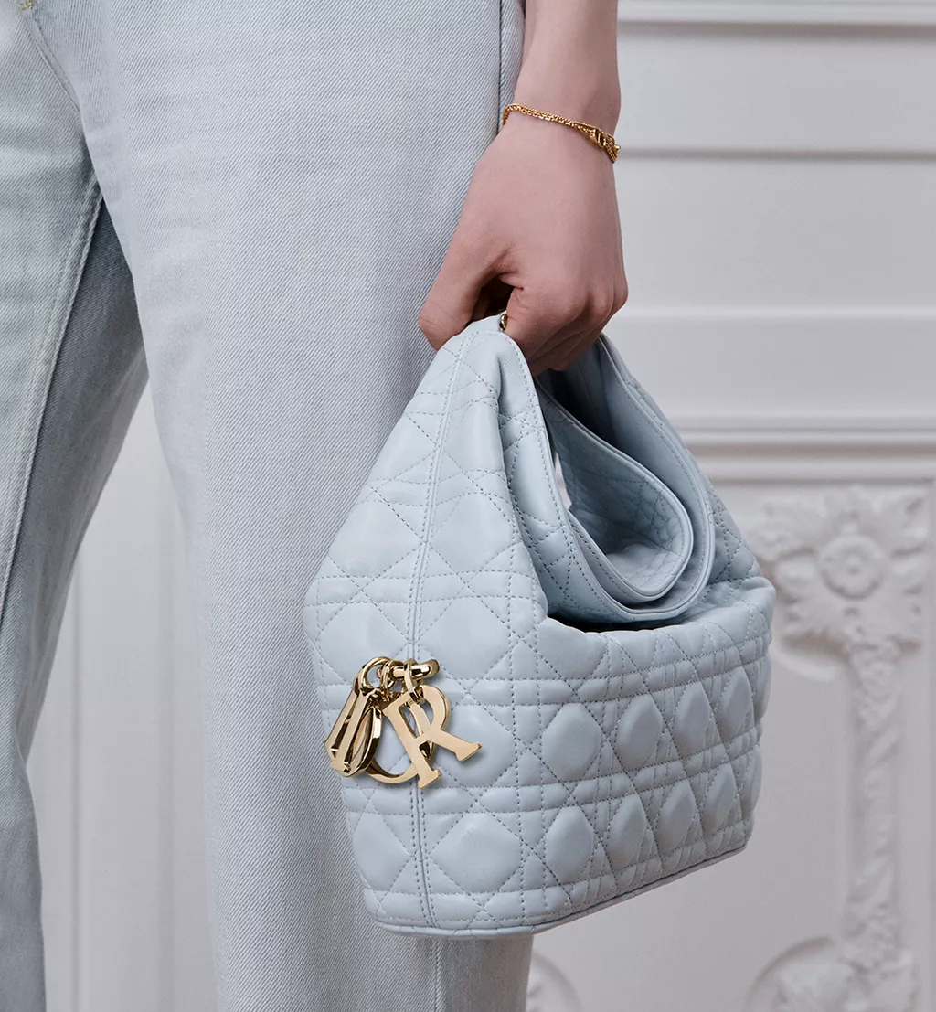 Small Dior Toujours Hobo Bag