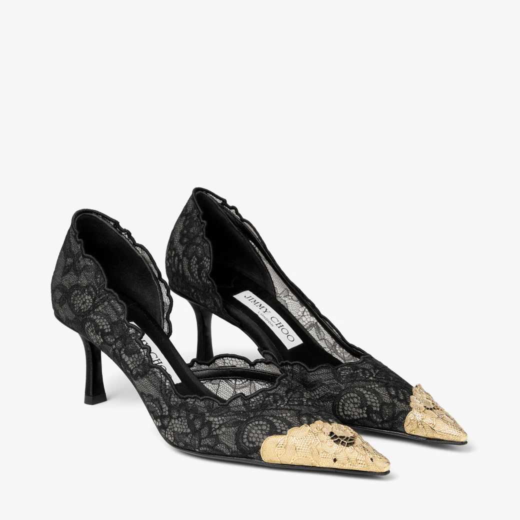Faiz Pump 65