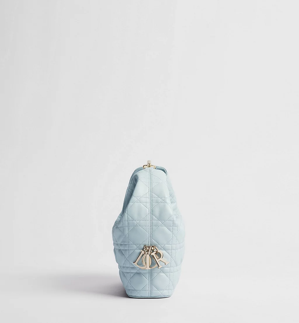 Small Dior Toujours Hobo Bag