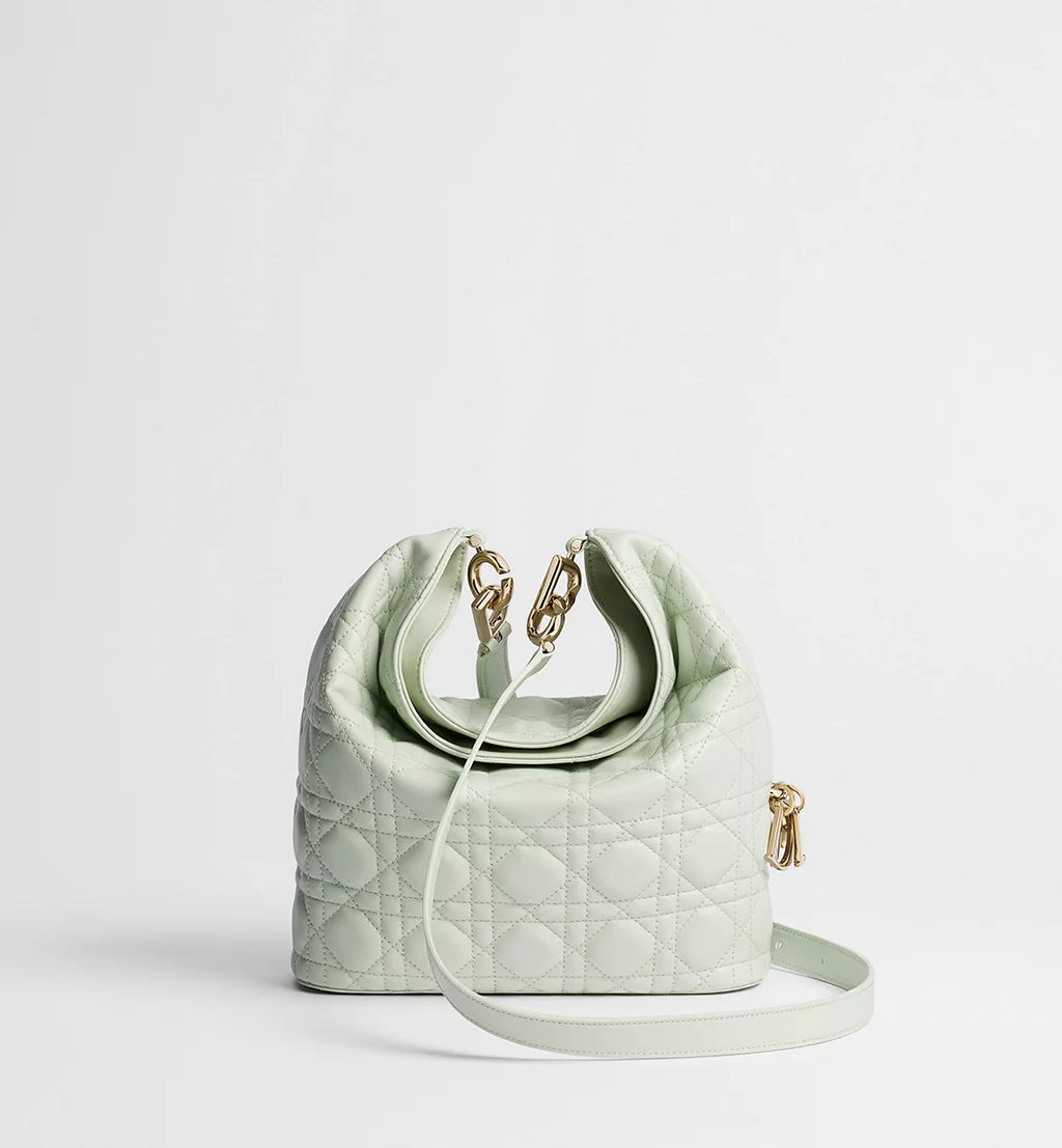 Small Dior Toujours Hobo Bag