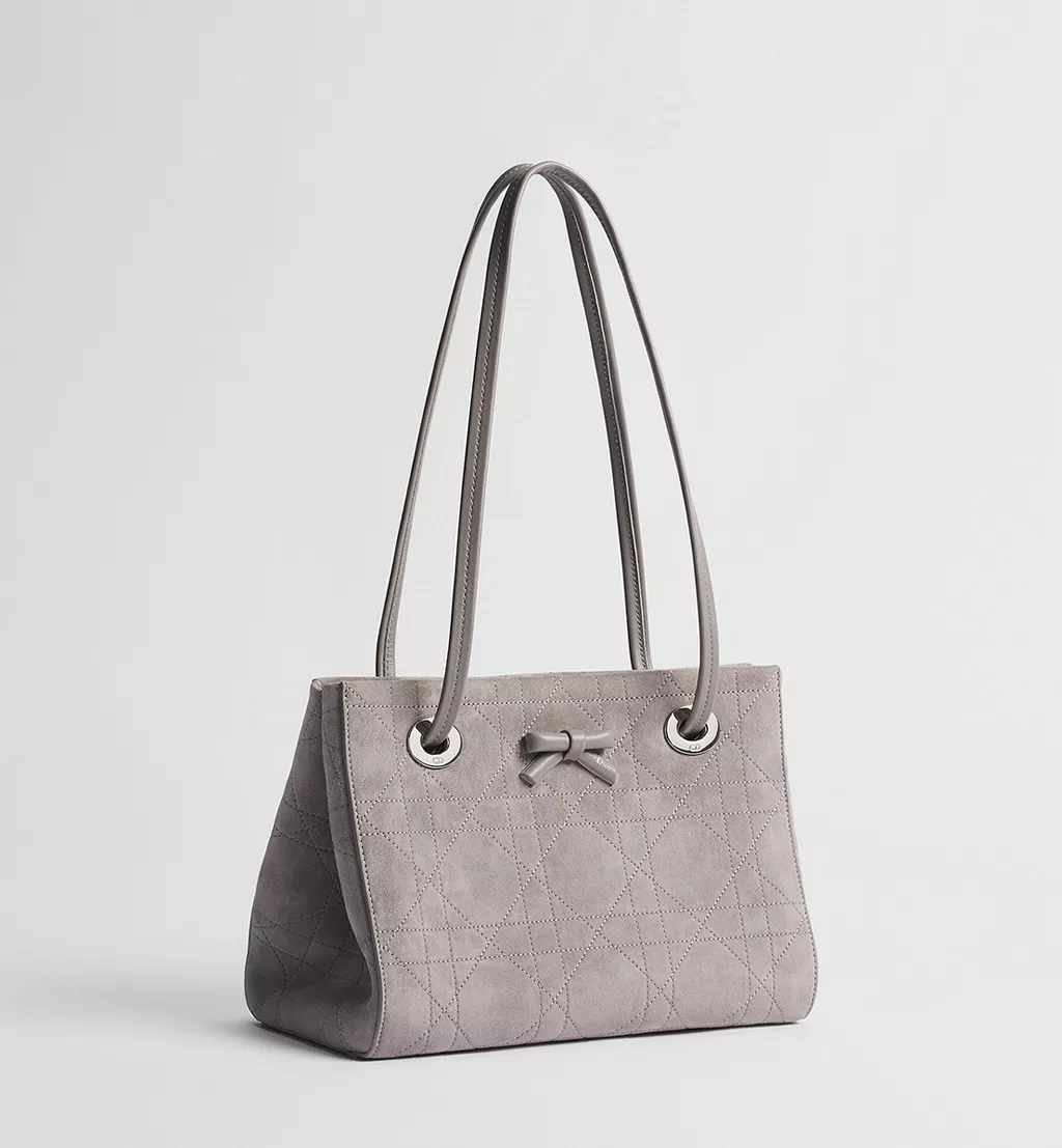 Small Dior Promenade Shopping Bag