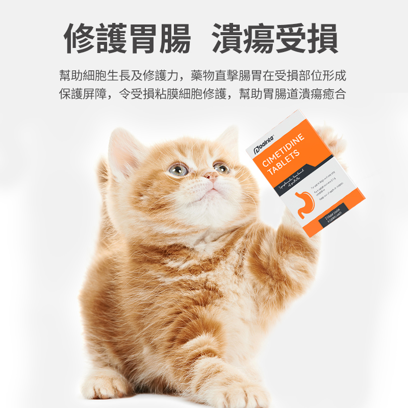 普西丁片-寵物吐黃水/嘔吐