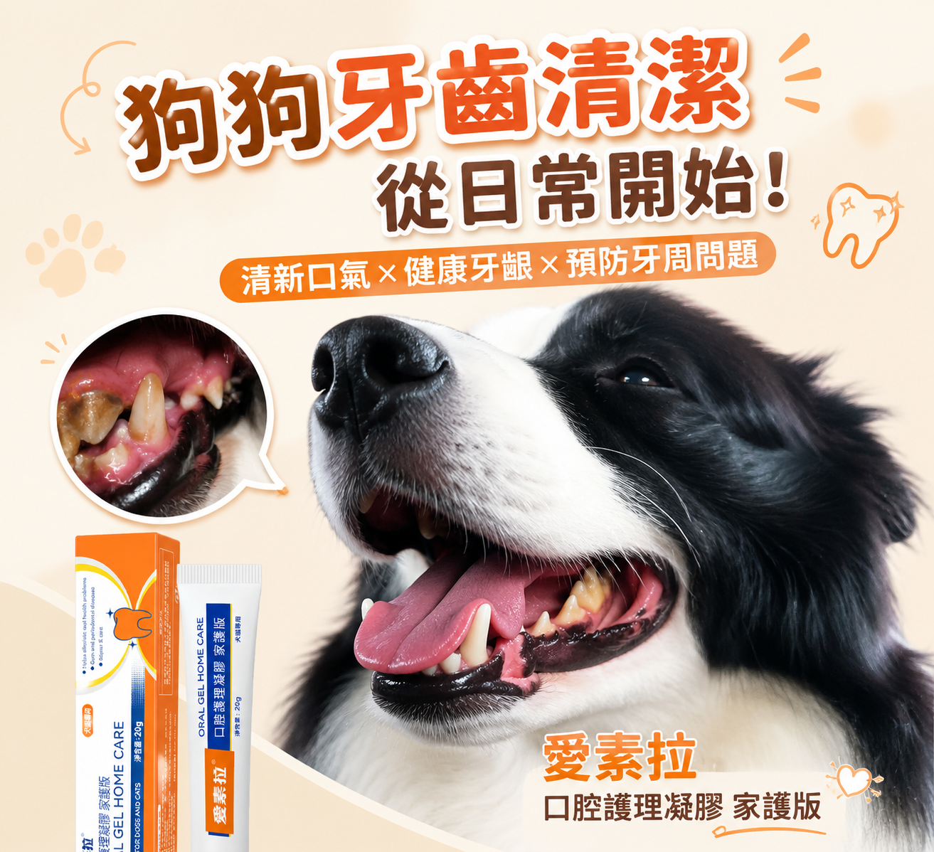 狗狗牙齒清潔