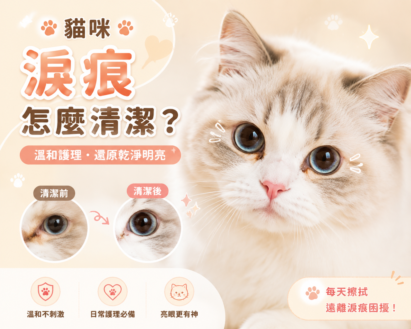 貓咪淚痕
