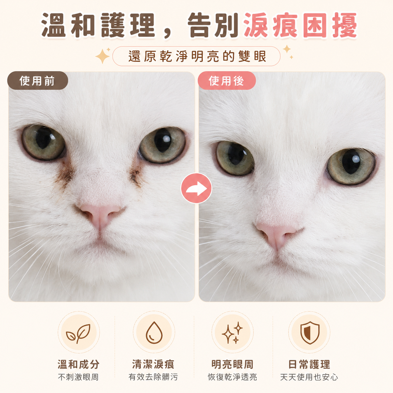 清潔眼周解決淚痕