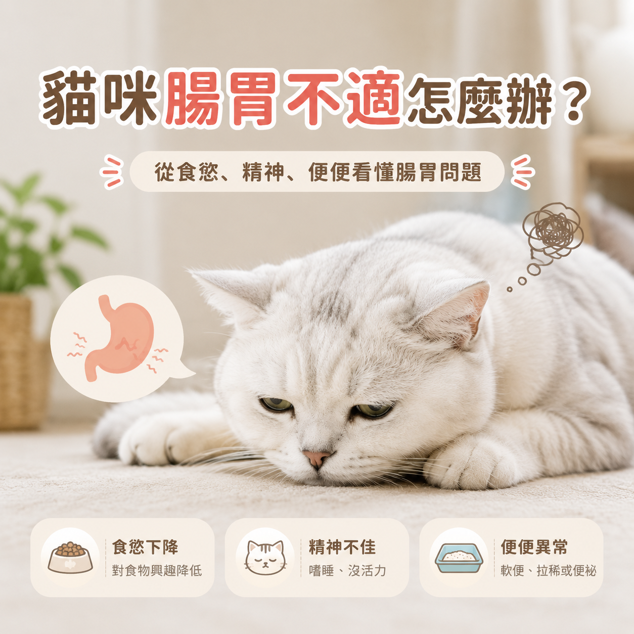 貓咪腸胃不適