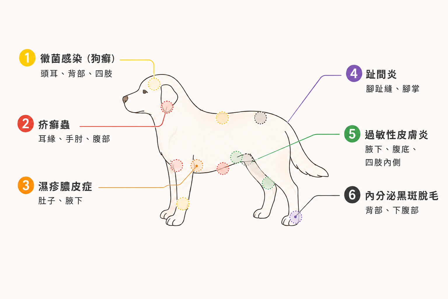 狗狗皮肤病图解