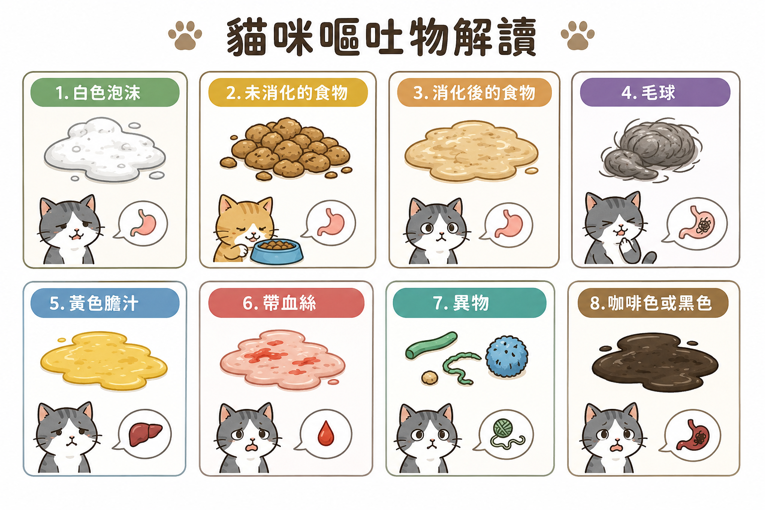 貓咪嘔吐物