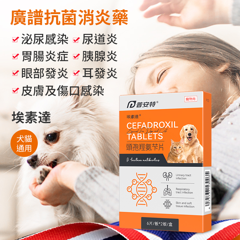 寵物頭孢消炎藥