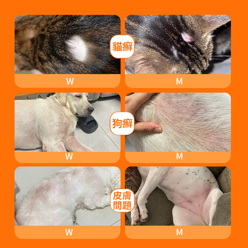 貓狗廯皮膚治療修復用藥