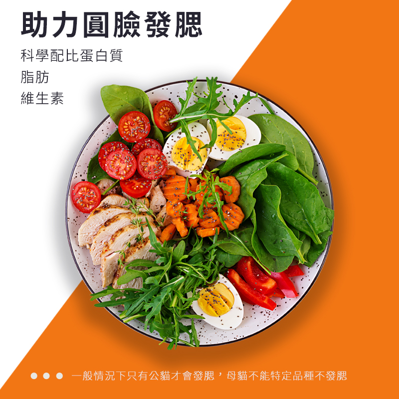 普安特 貓用營養膏