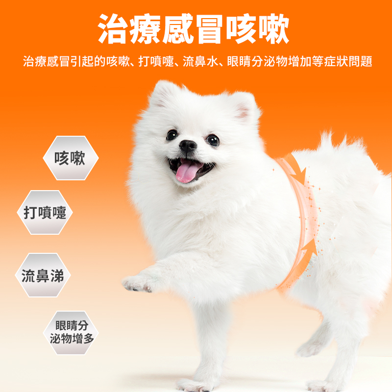 普安特阿莫西林克拉維酸鉀片