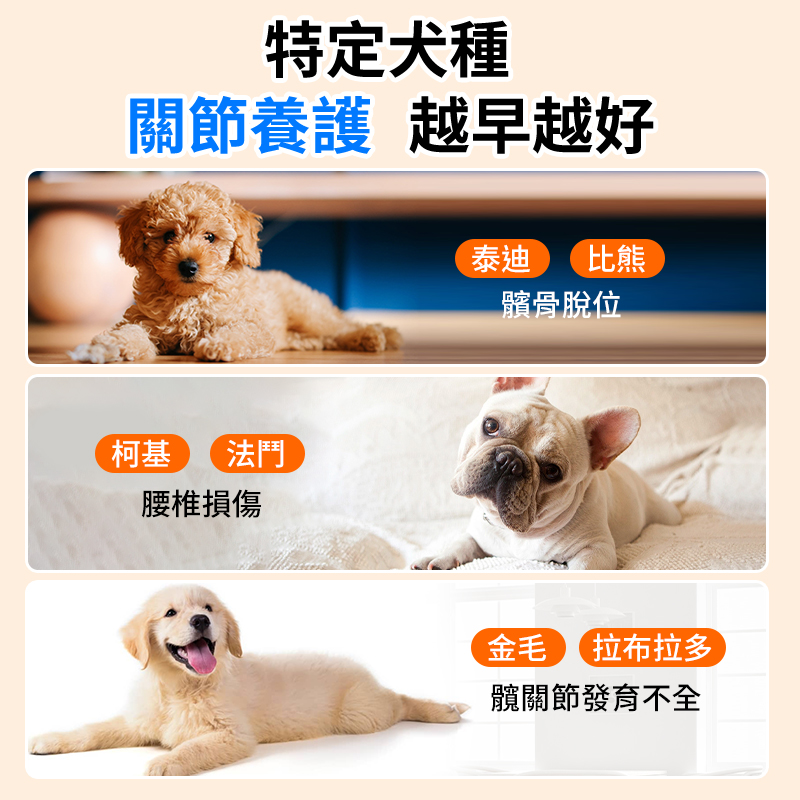 普安特 | 關節保護力維加軟骨素