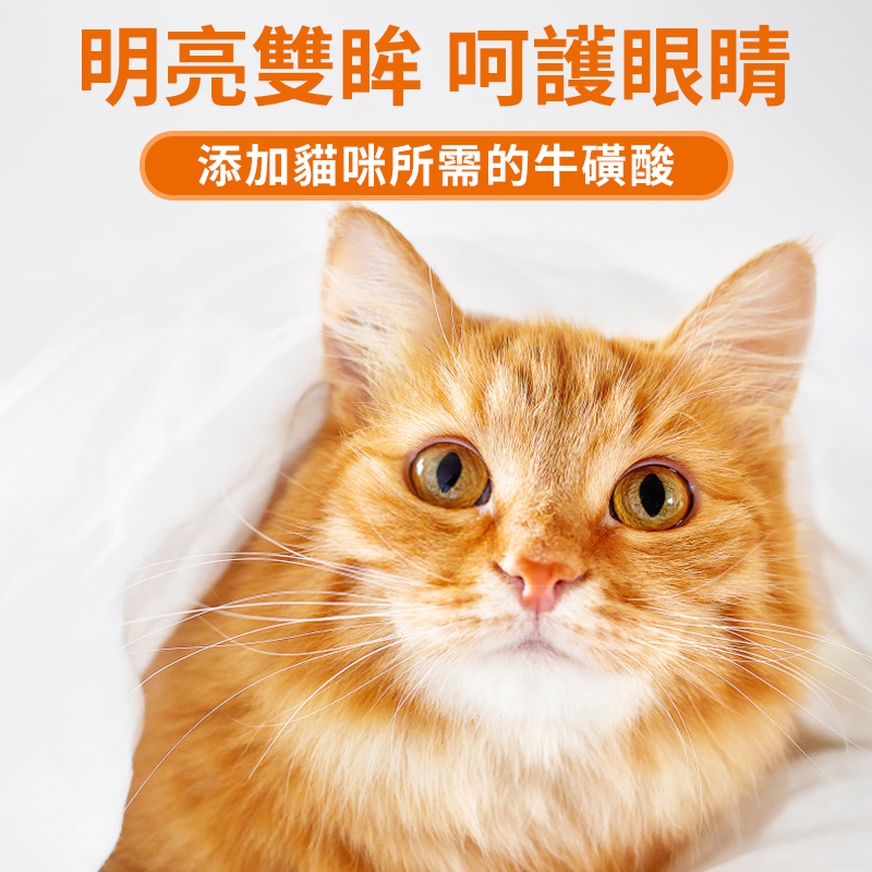 普安特貓咪口腔零食潔齒粒