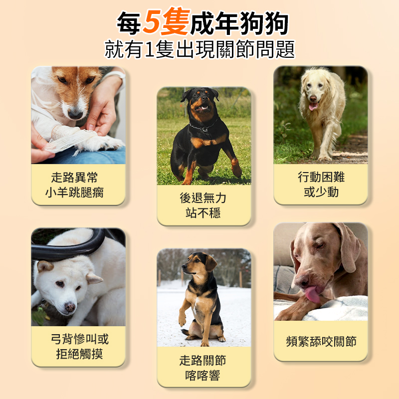 普安特 | 關節保護力維加軟骨素