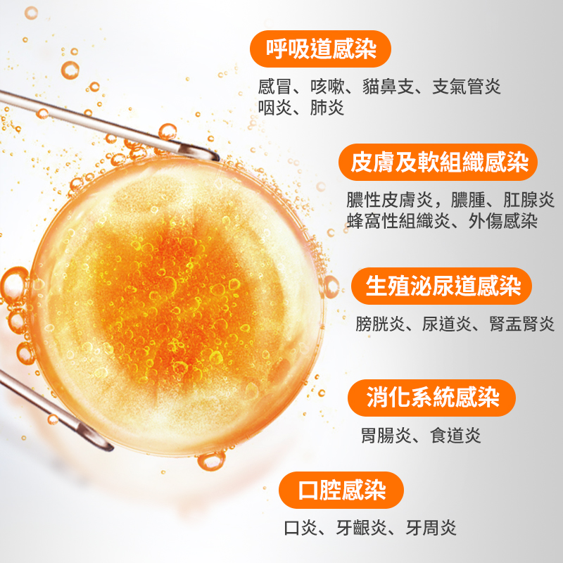 普安特阿莫西林克拉維酸鉀片