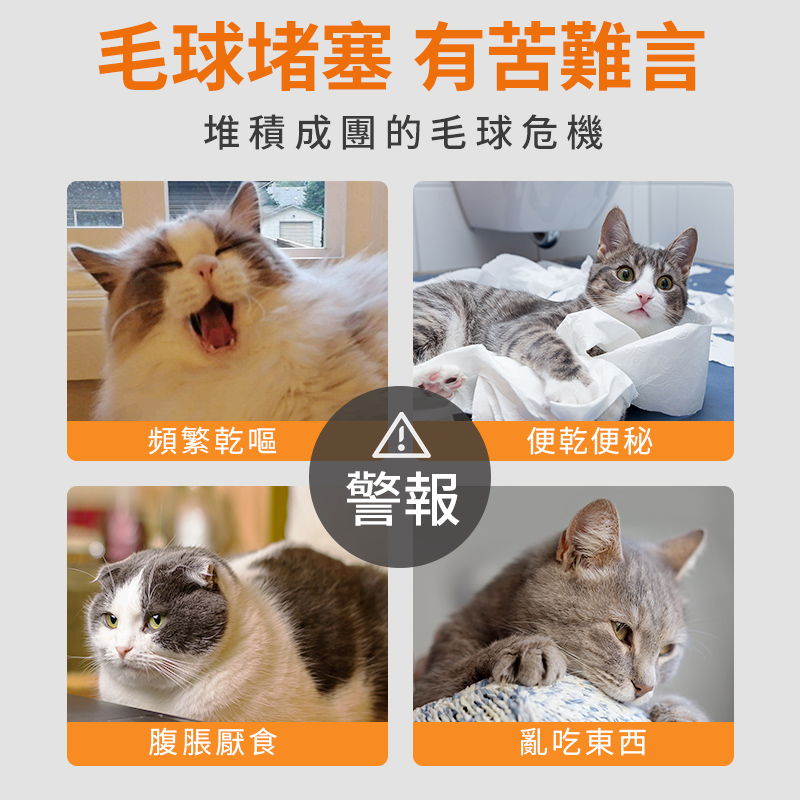 化毛膏-排毛球/補充劑營養