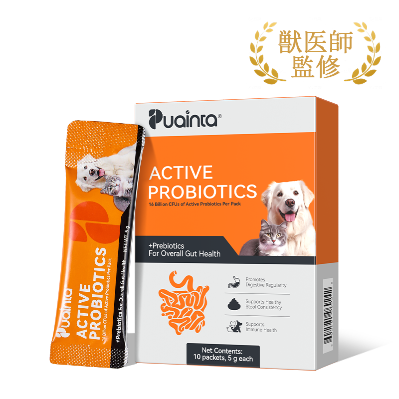 プアインタ活性プロバイオティクス パウダー