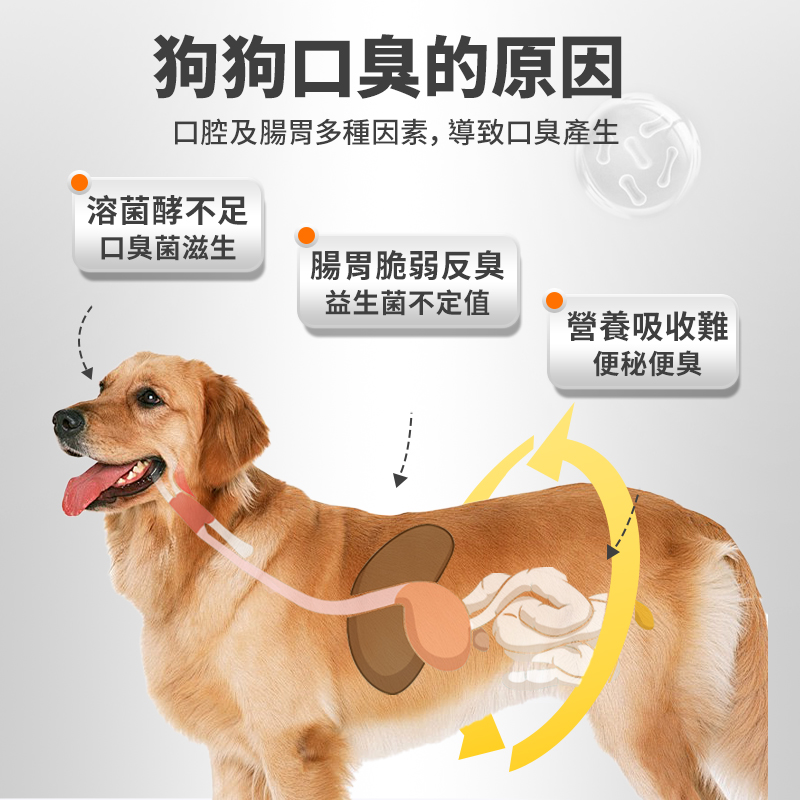 普安特狗狗口臭凍乾非漱口水寵物牙結石