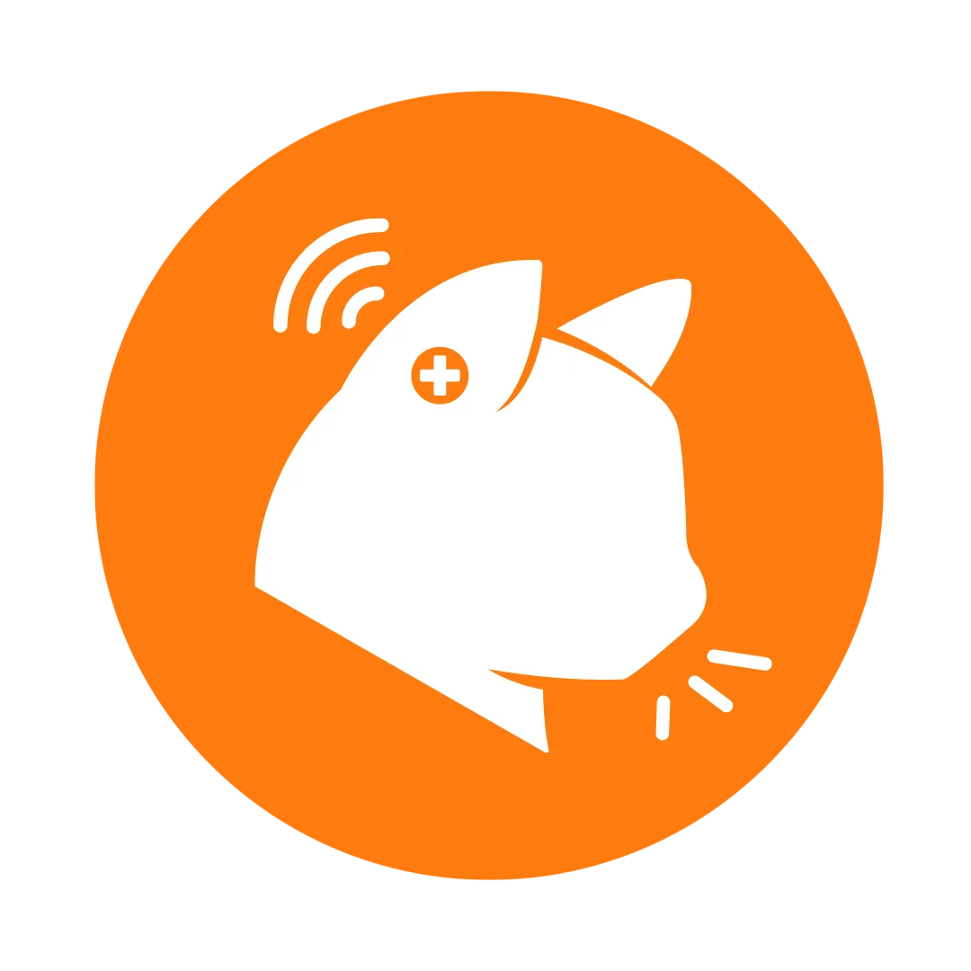 目、耳、口、鼻