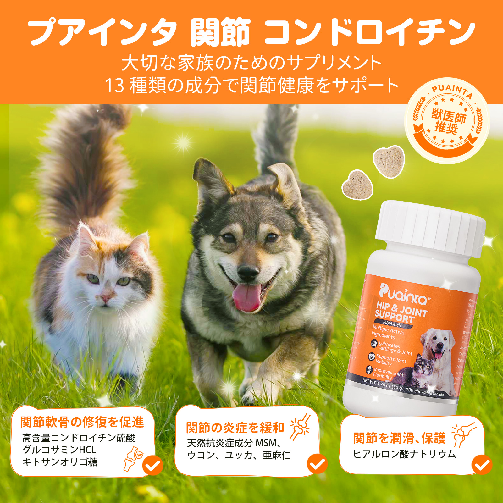 プアインタ 関節 コンドロイチン