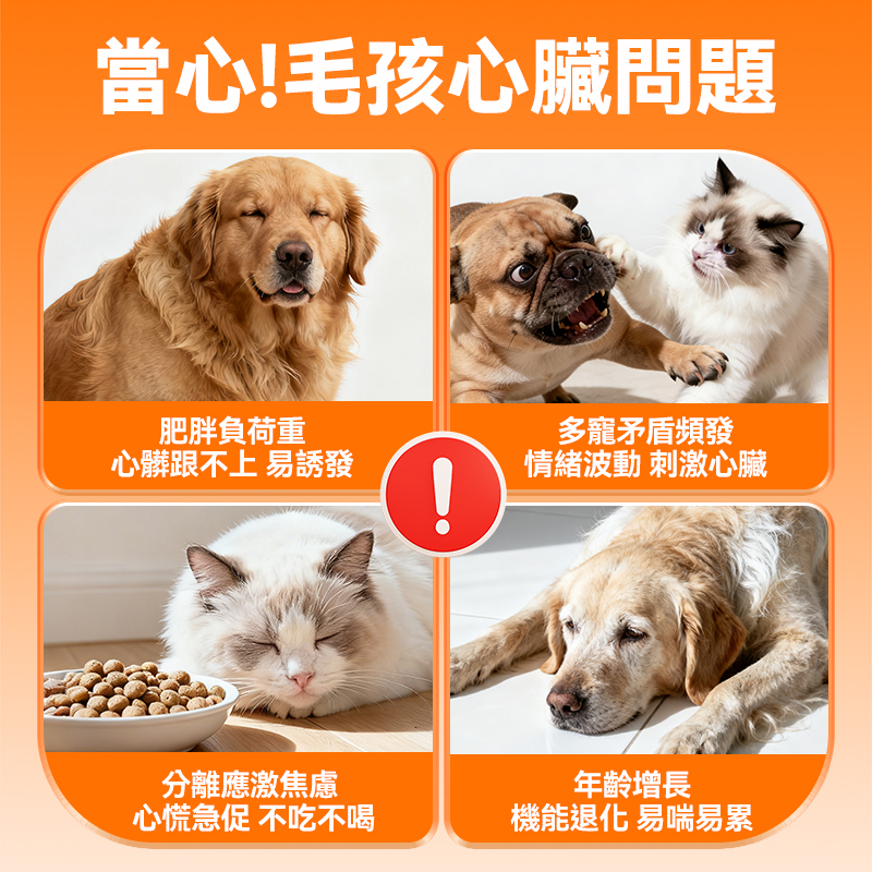 普安特幸保片 輔酶 Q10 狗狗貓咪心臟肥大 保護心肌健康 養護心臟