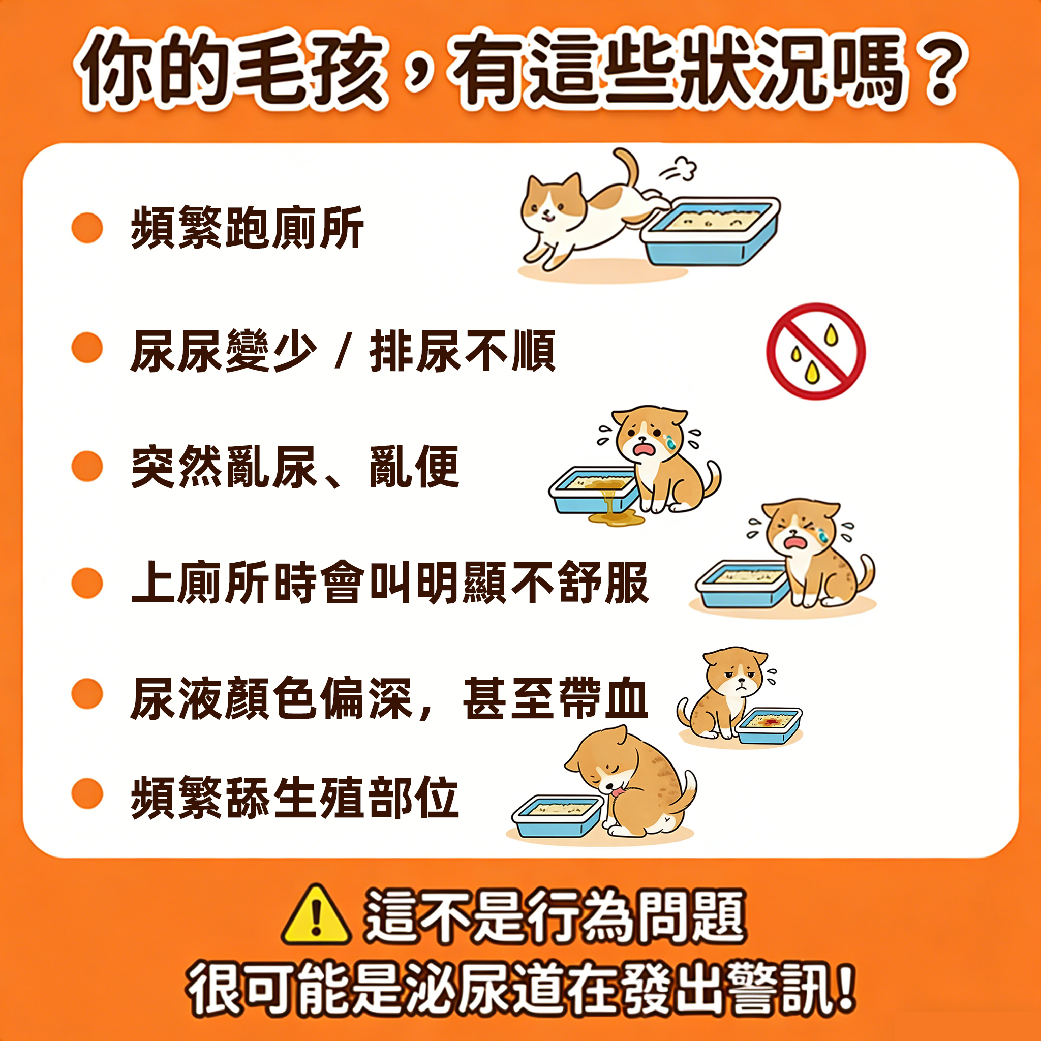 貓狗血尿、尿不出來、尿頻困擾｜泌尿道保健首選｜普安特蔓越莓泌能粒｜200粒大容量｜限時優惠