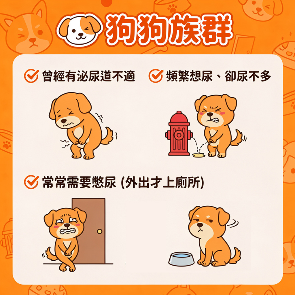 貓狗血尿、尿不出來、尿頻困擾｜泌尿道保健首選｜普安特蔓越莓泌能粒｜200粒大容量｜限時優惠