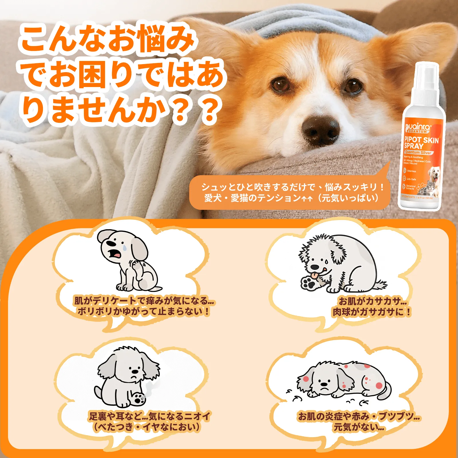 プアインタ ペット用スキンケアセット Banov低刺激シャンプー＋量子銀ケアスプレー