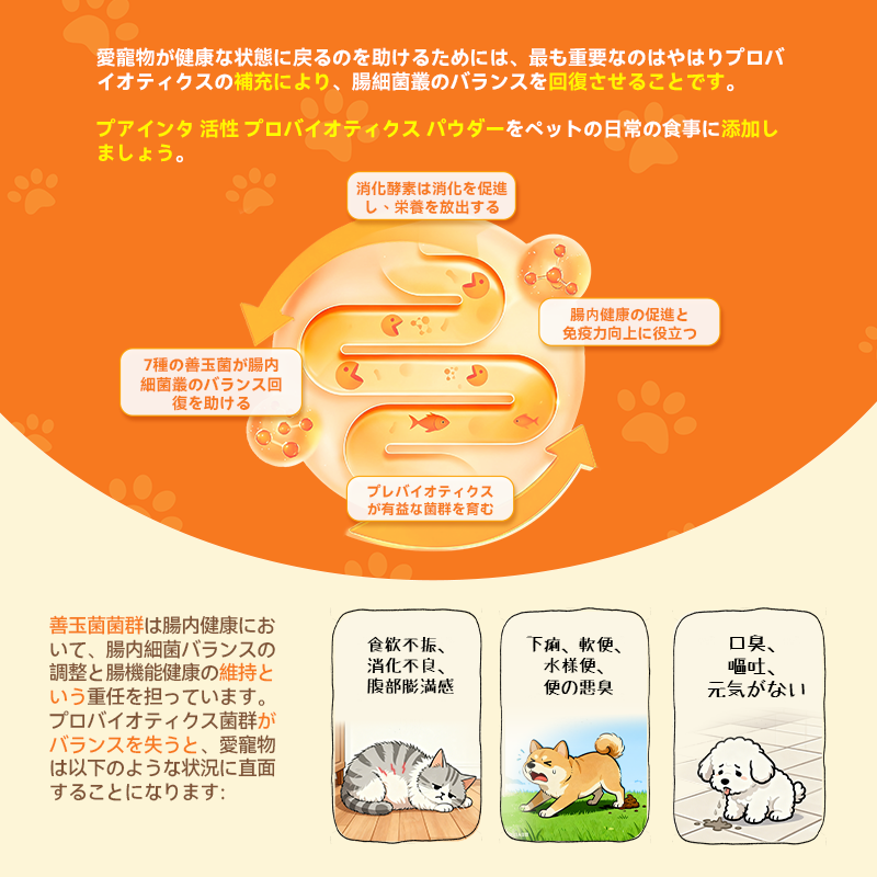 プアインタ活性プロバイオティクス パウダー