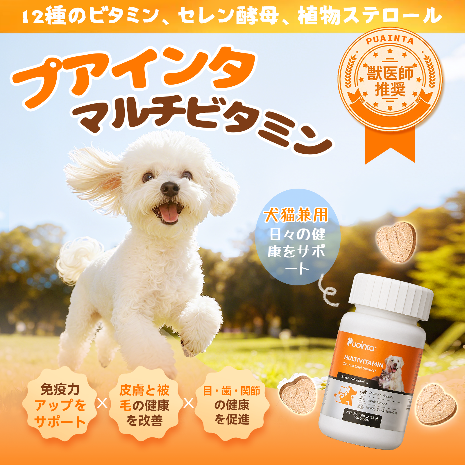 プアインタ マルチビタミン