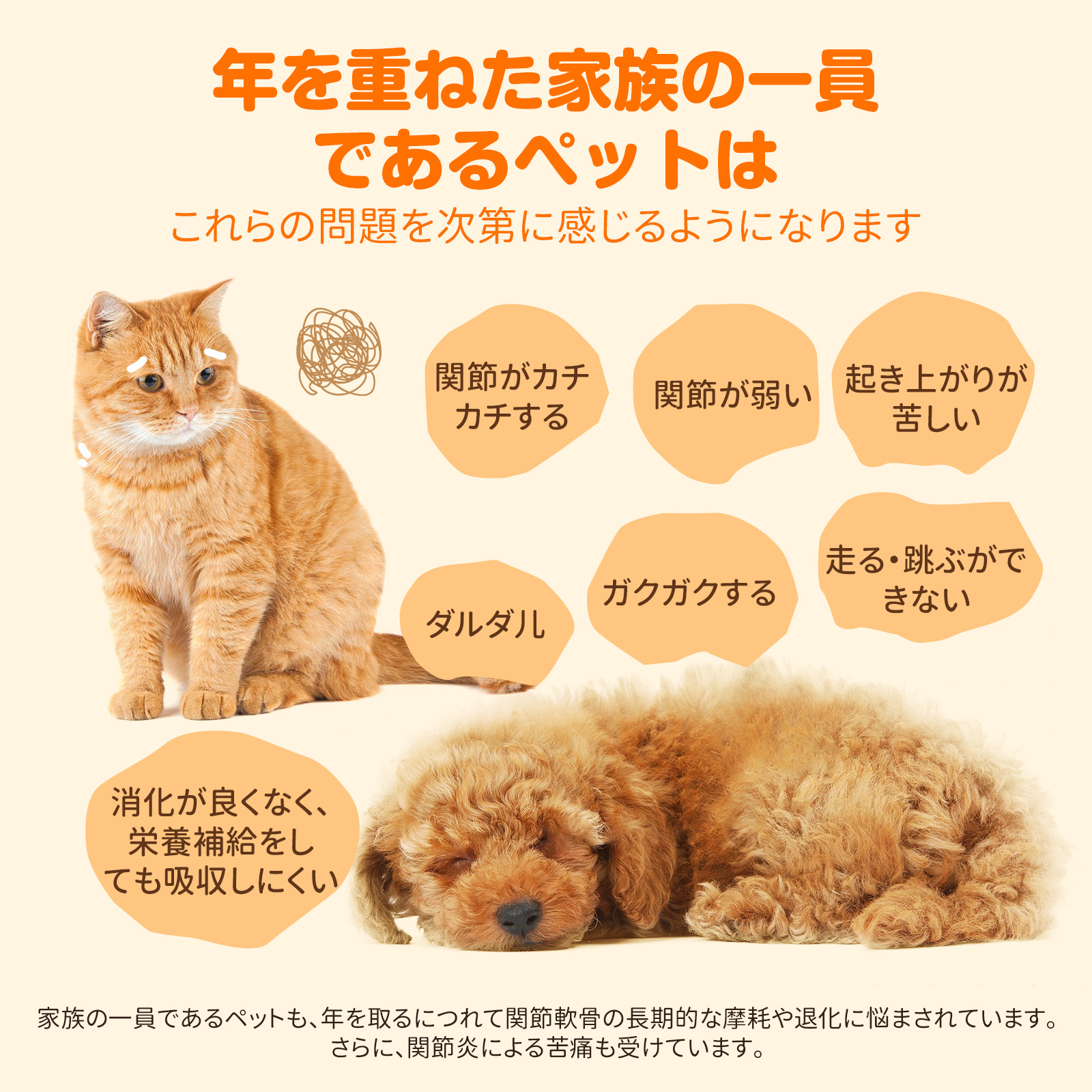 プアインタ 関節 コンドロイチン