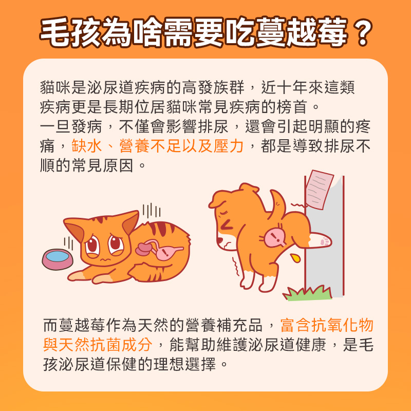 普安特蔓越莓泌能粒，寵物尿道營養補充劑