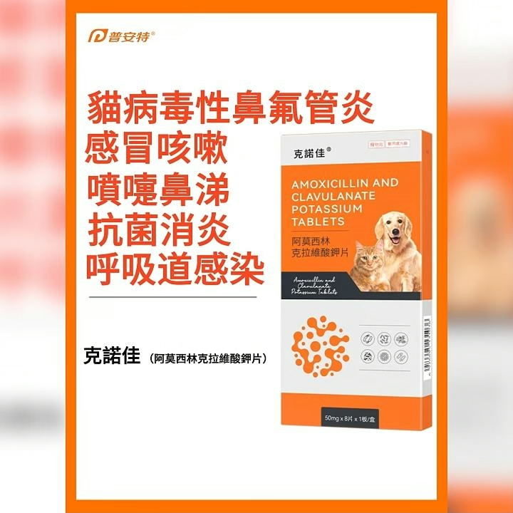 獸醫師常用的貓狗感冒用藥｜普安特克諾佳 專對付呼吸道感染引起的鼻水、噴嚏、久咳