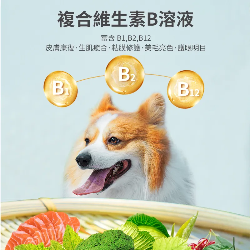 創立得皮膚創面問題趾間炎創傷修復組合