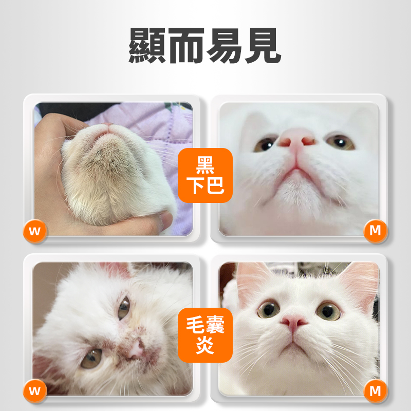 巴妥定寵物皮膚黑下巴清潔