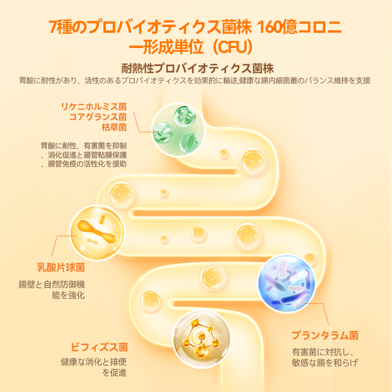 プアインタ活性プロバイオティクス パウダー