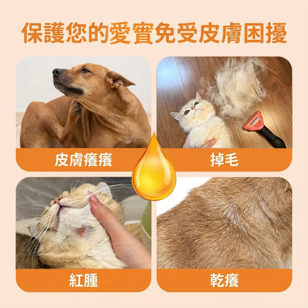 【美國進口】全方位磷蝦魚油營養補充劑 毛孩冠軍級亮毛護膚 改善掉毛脫毛 毛孩皮膚超健康