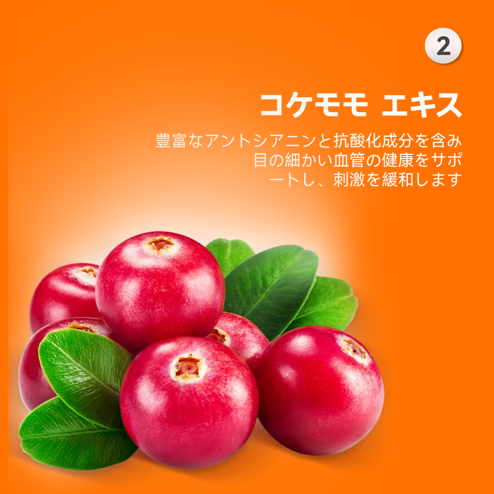 プアインタアイケア、天然ハーブエキス、やさしいケ7