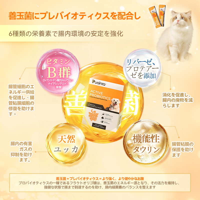 プアインタ活性プロバイオティクス パウダー