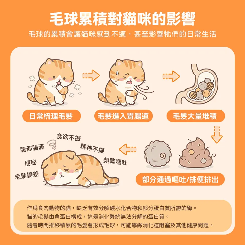 普安特貓咪化毛錠｜改善毛球堆積・減少嘔吐不適｜腸胃調理＋毛髮護理雙效配方