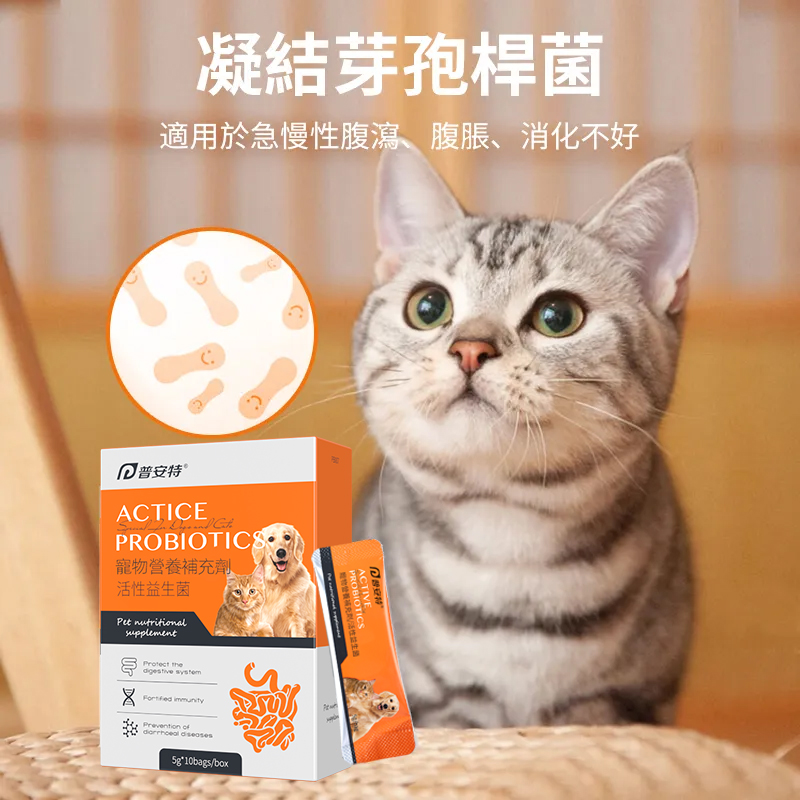 貓咪狗狗嘔吐腹瀉用藥,腸胃調理專用益生菌